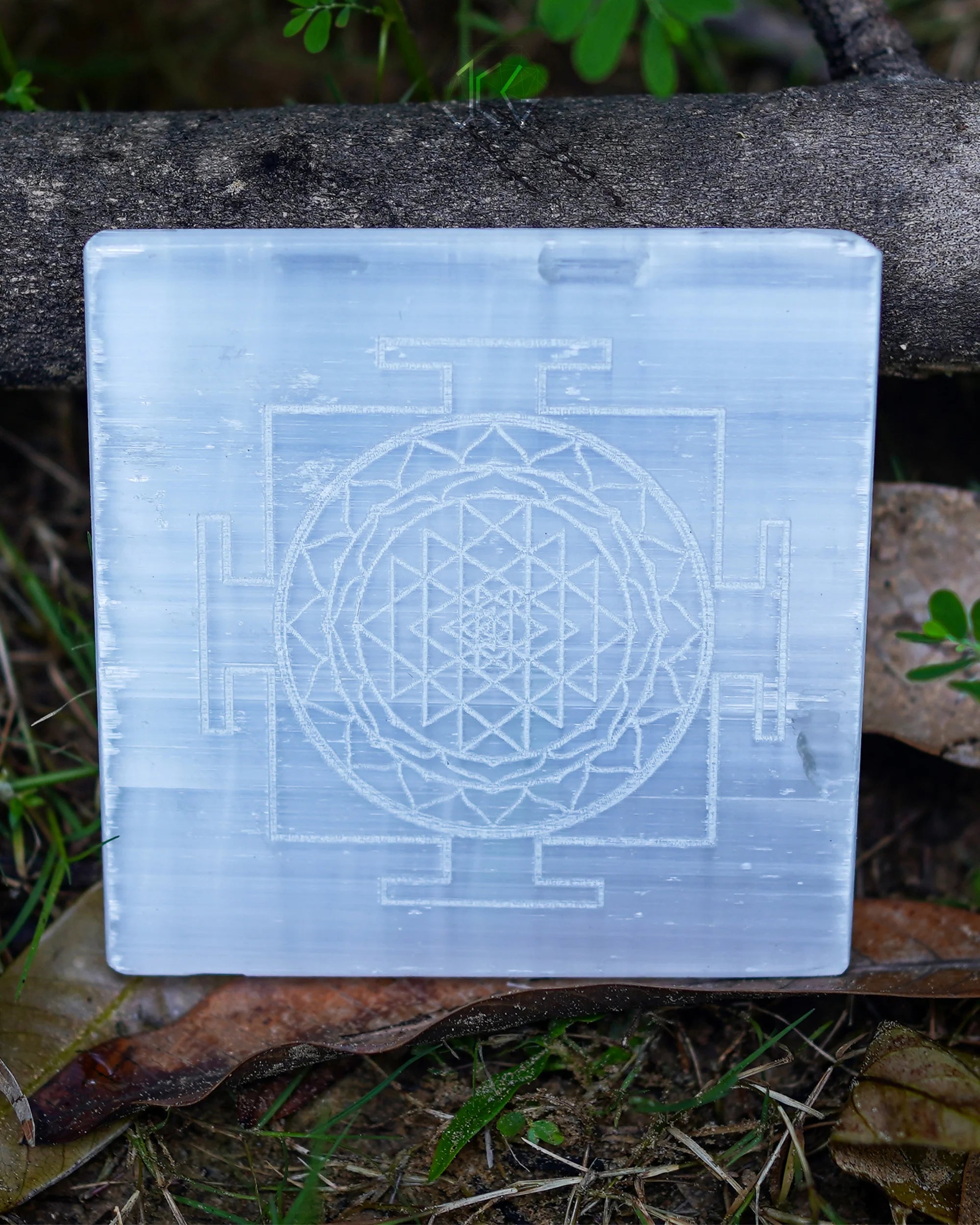 Shreeyantra Selenite Plate - Jaipur Crystal Gems